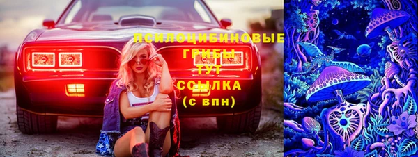 экстази Алексин