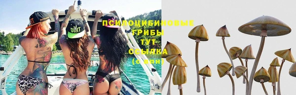 экстази Алексин